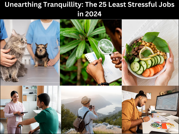 Unearthing Tranquillity: The 25 Least Stressful Jobs in 2024 image